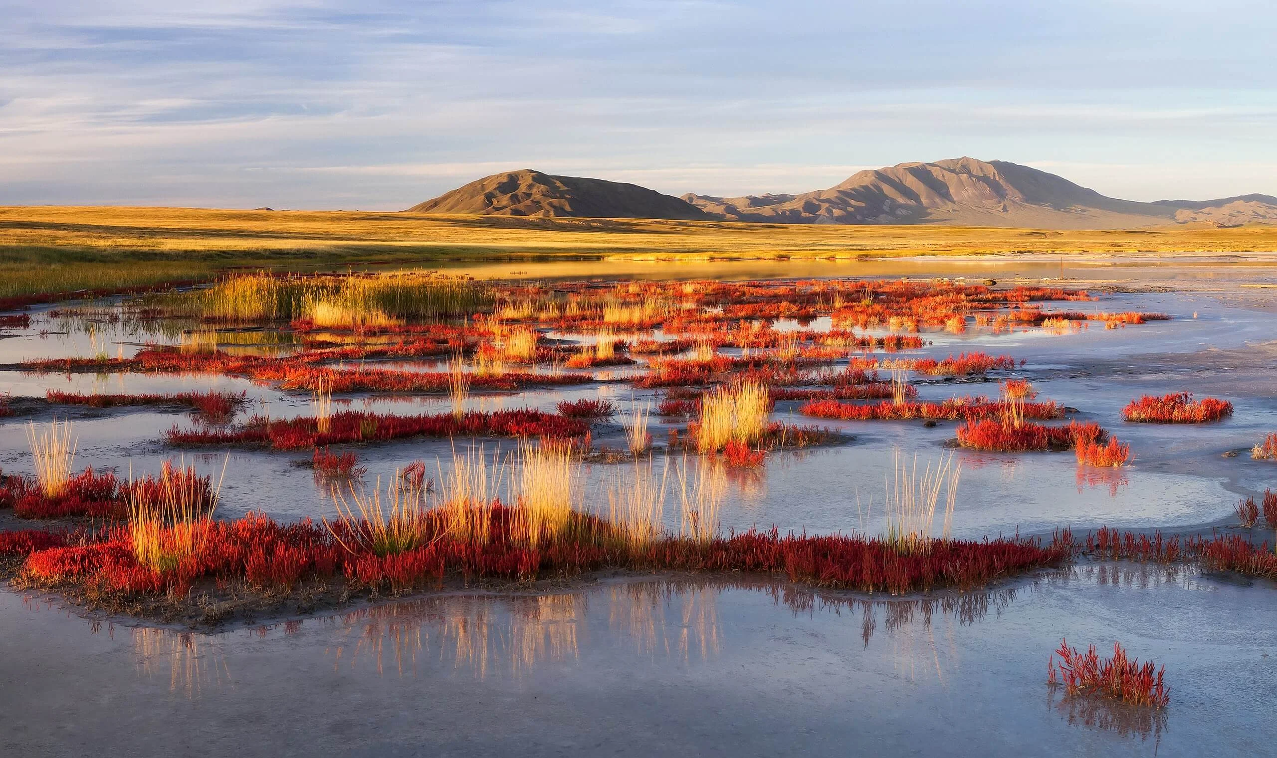 Uvs Nuur, Russie, Mongolie