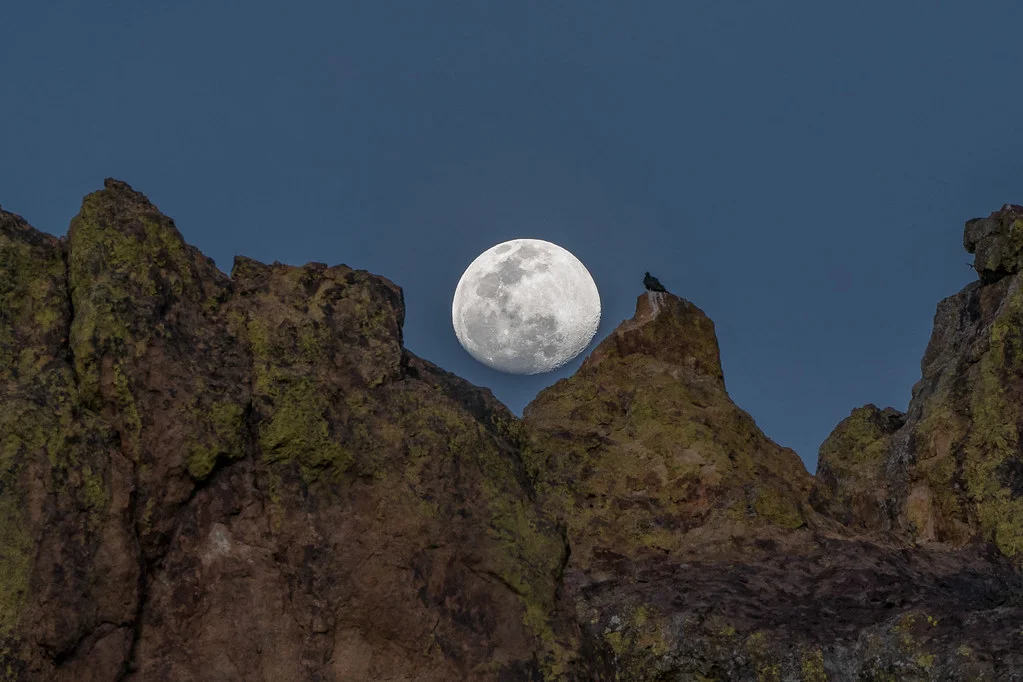 Monts Chisos, États-Unis