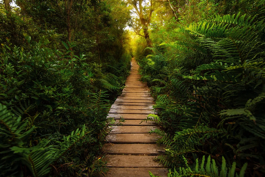 Parc national Chiloé, Chili