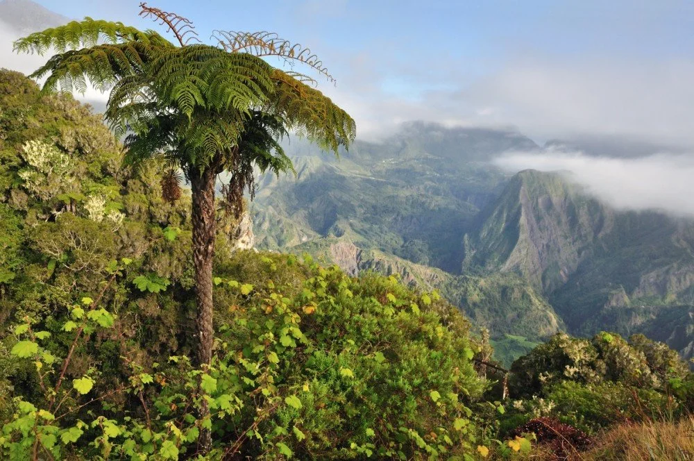 Parc national d'Andasibe-Mantadia, Madagascar