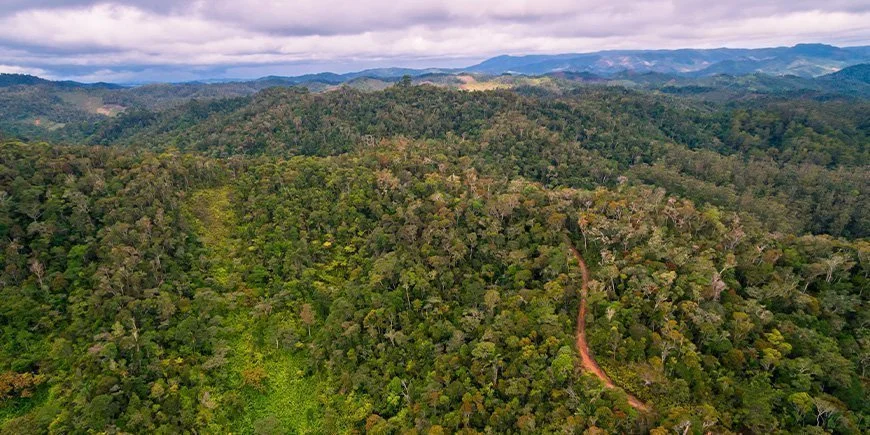 Parc national d'Andasibe-Mantadia, Madagascar
