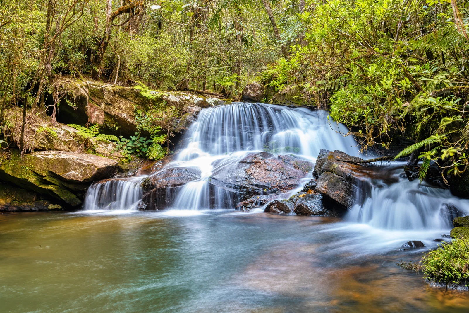 Parc national d'Andasibe-Mantadia, Madagascar