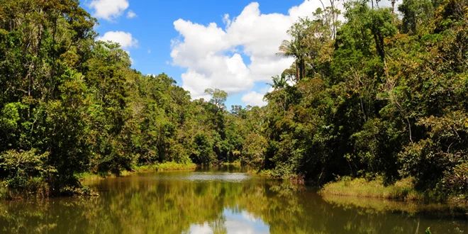 Parc national d'Andasibe-Mantadia, Madagascar