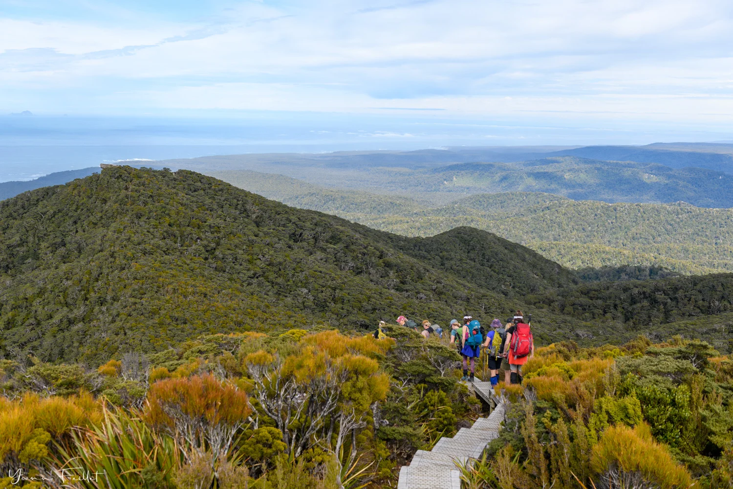 Hump Ridge Track, Nouvelle-Zélande