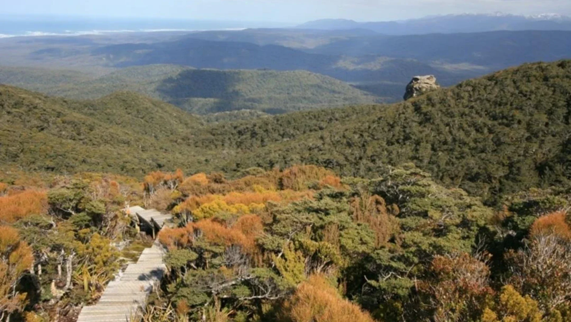 Hump Ridge Track, Nouvelle-Zélande