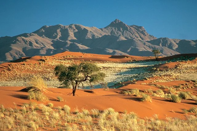 Réserve naturelle du NamibRand, Namibie