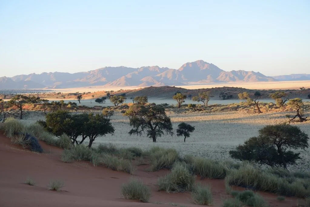Réserve naturelle du NamibRand, Namibie