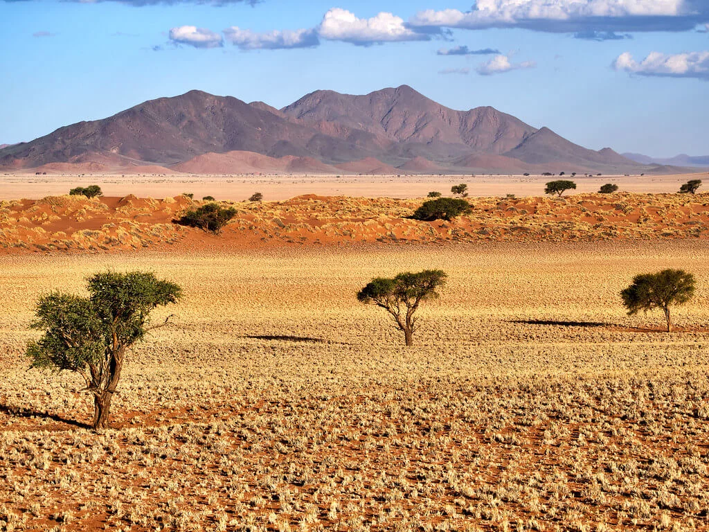 Réserve naturelle du NamibRand, Namibie