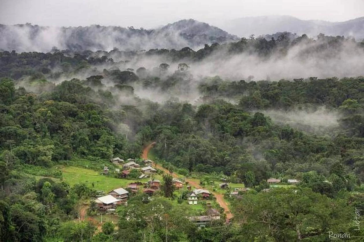 Saul, Guyane française