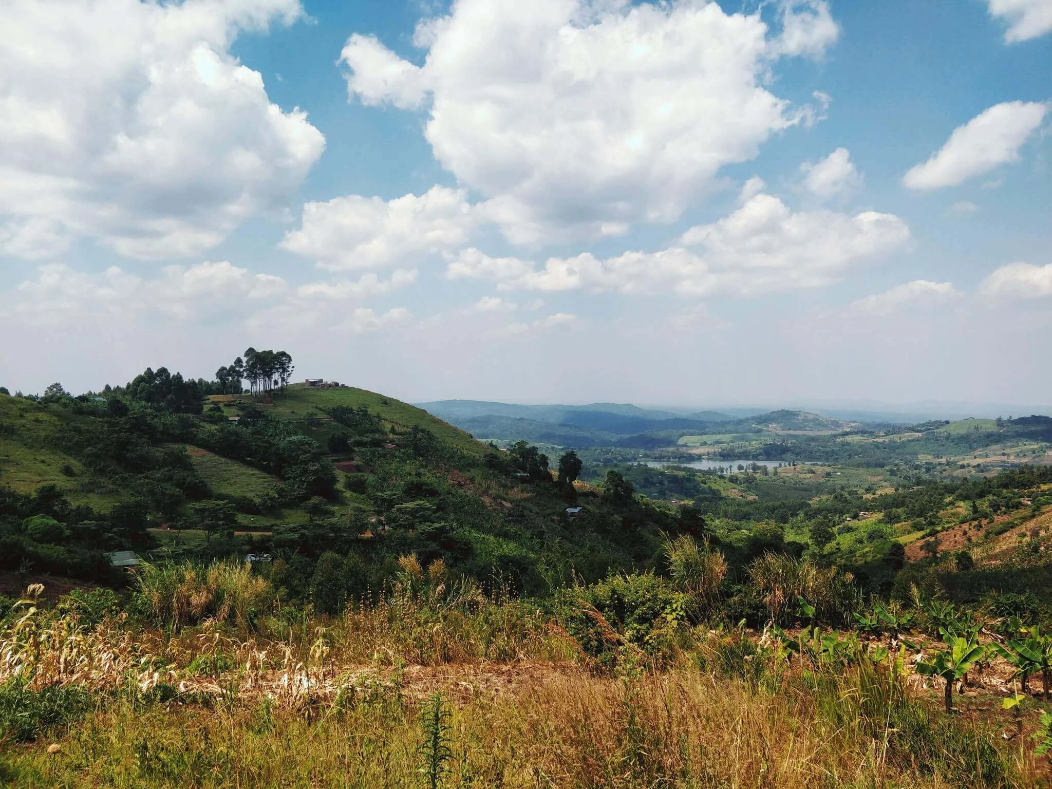 Parc national de Kibale, Ouganda