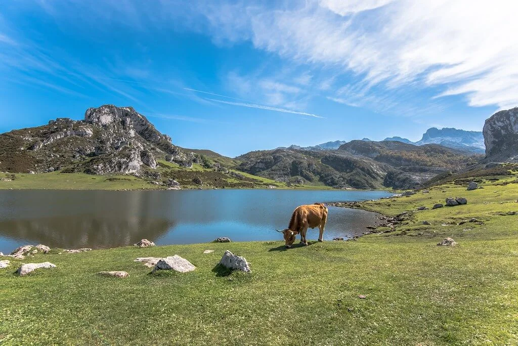 Lac Ercina, Espagne