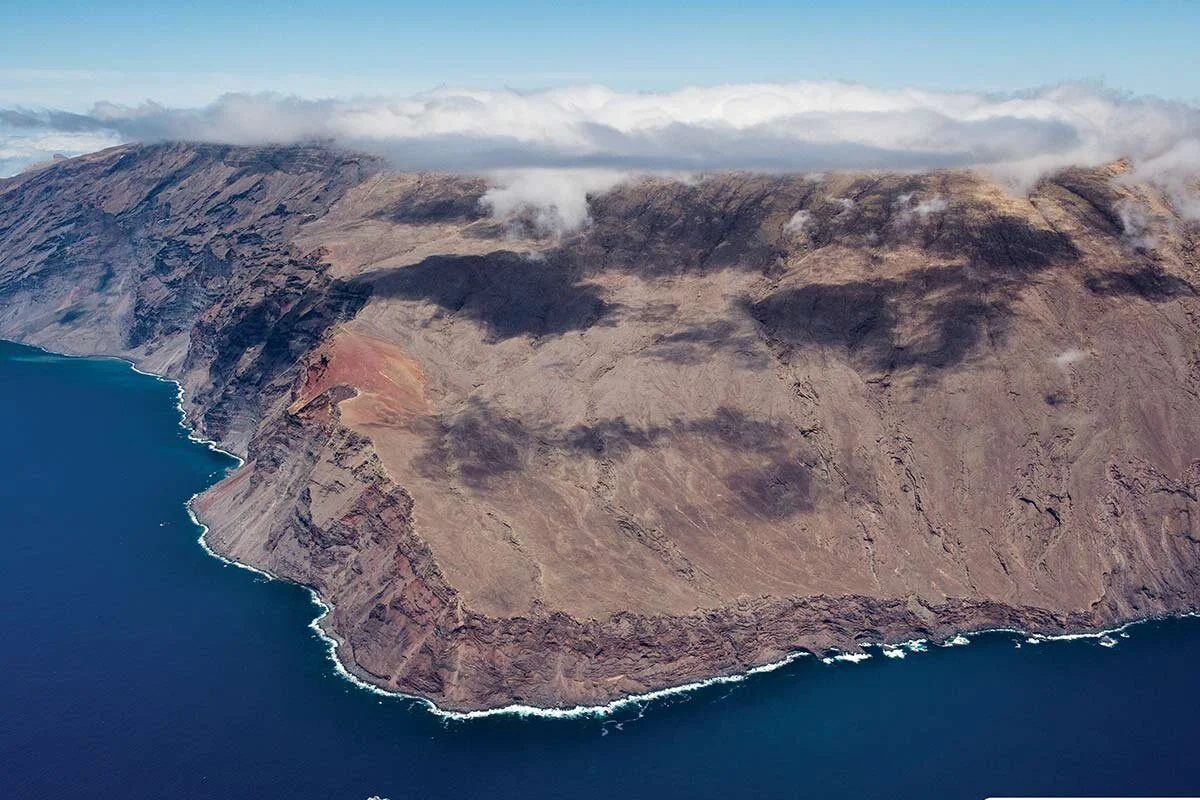 Île Guadalupe, Mexique