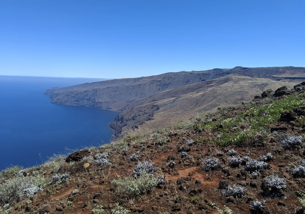 Île Guadalupe, Mexique
