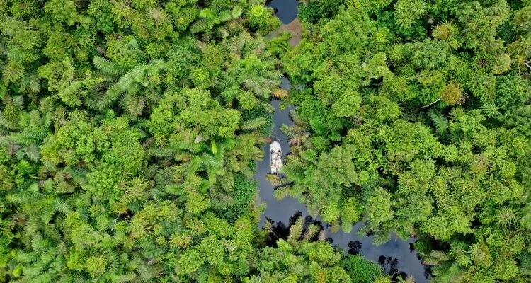 Parc national de Conkouati-Douli, République du Congo