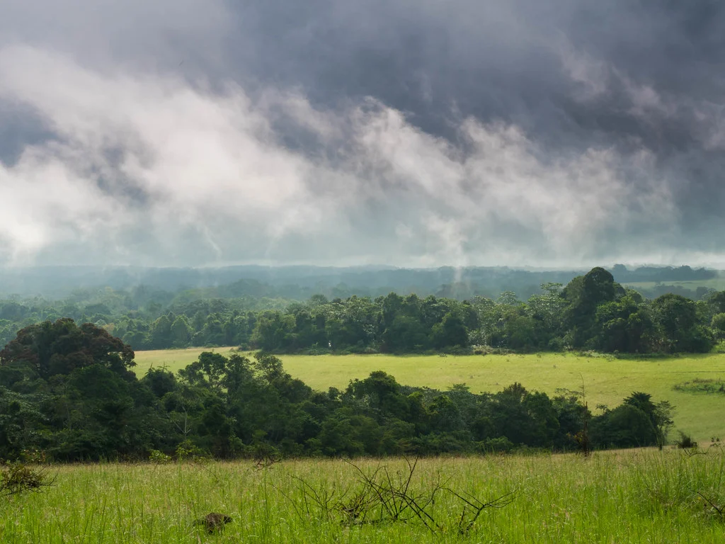 Parc national de Conkouati-Douli, République du Congo