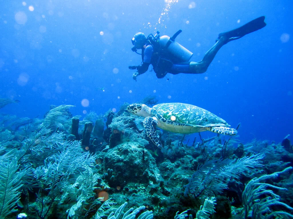Glover's Reef Marine Reserve, Belize