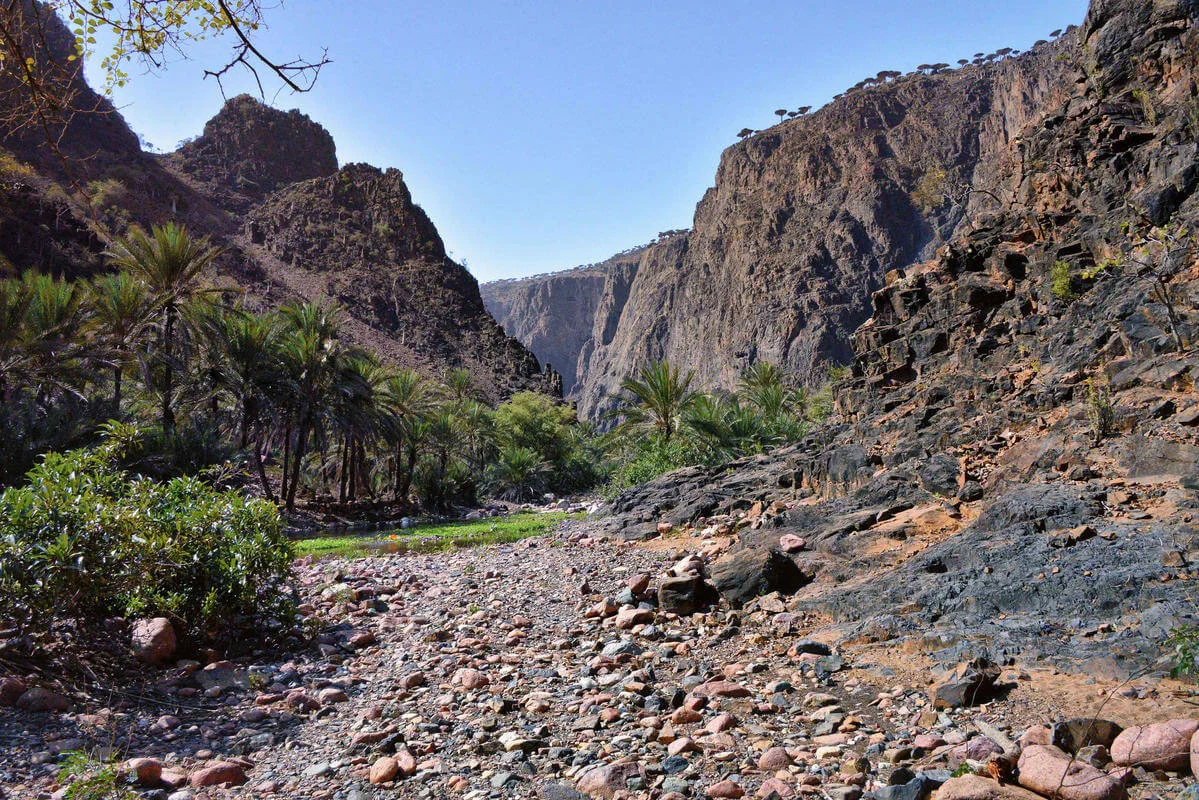 Parc national du Canyon d'Ayhaft, Yémen, Socotra