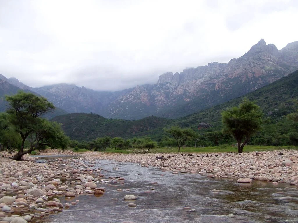 Parc national du Canyon d'Ayhaft, Yémen, Socotra