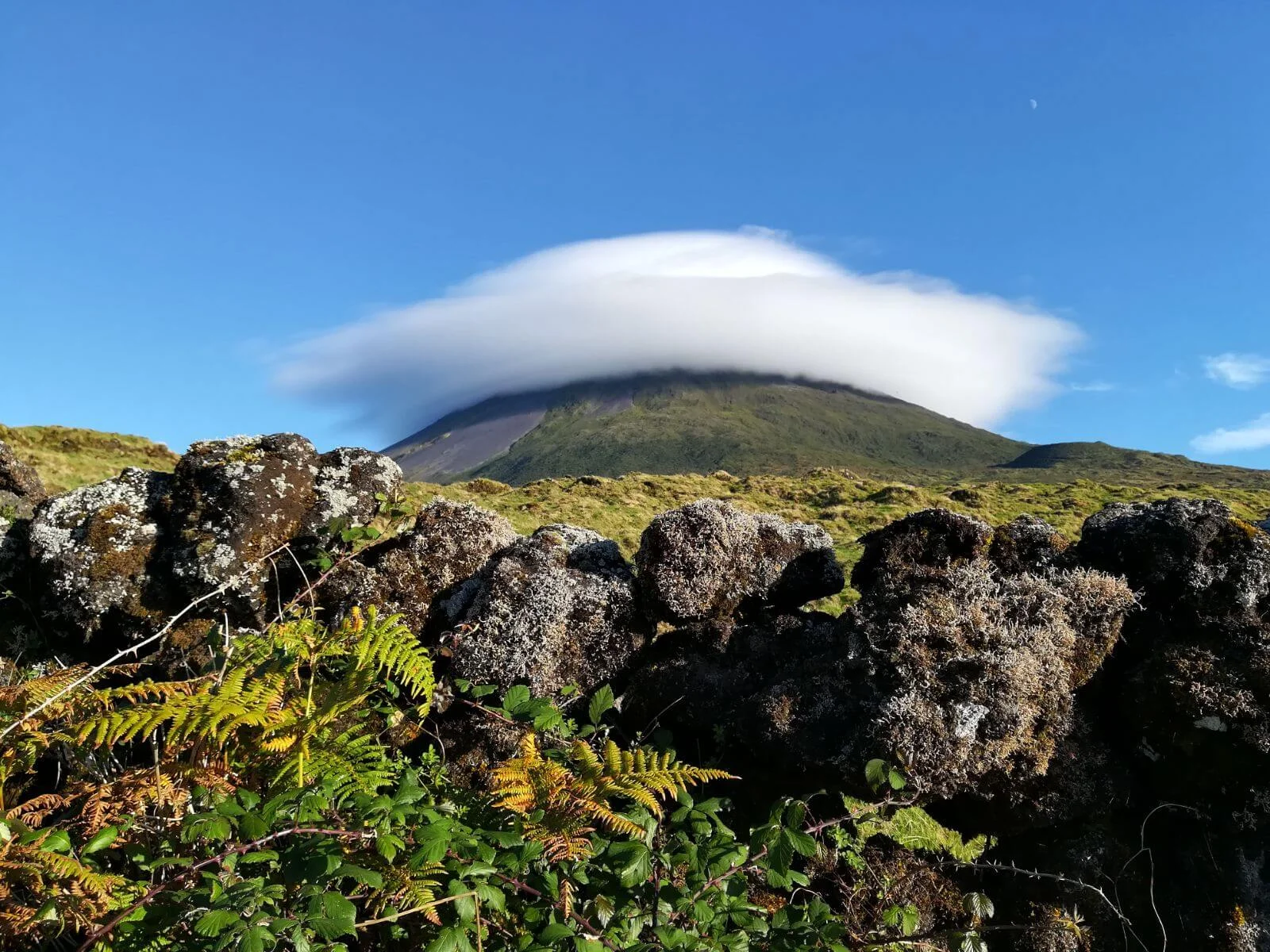 Pico (Açores), Portugal, Açores