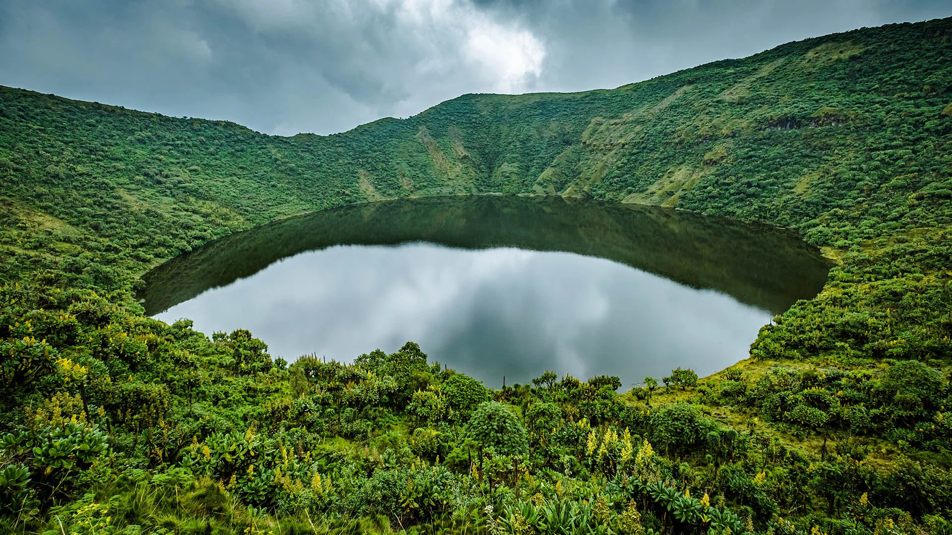 Mont Visoke, Rwanda, République démocratique du Congo