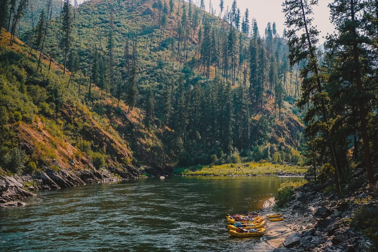 Main Fork Salmon River, États-Unis