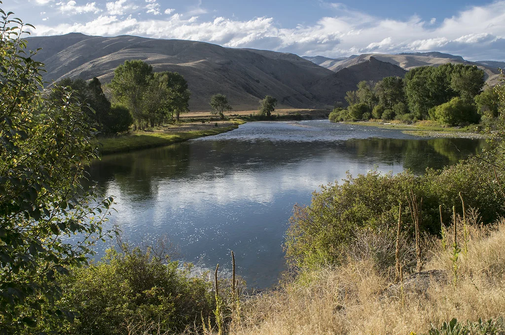 Main Fork Salmon River, États-Unis