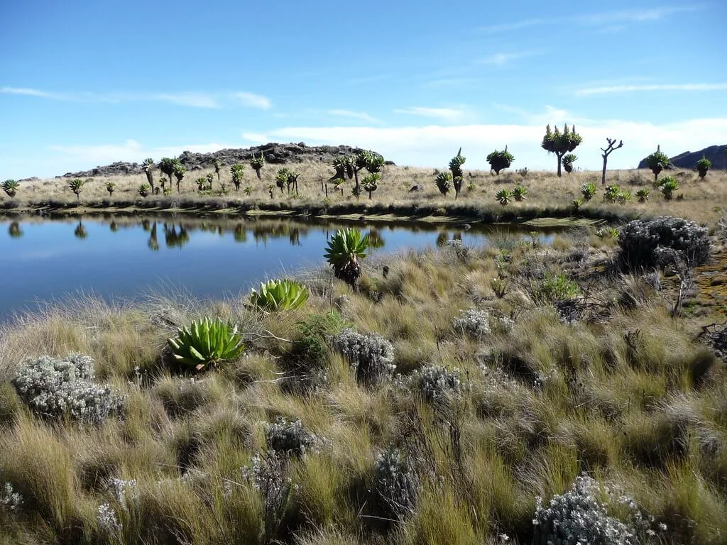 Parc national du Mont Elgon, Ouganda