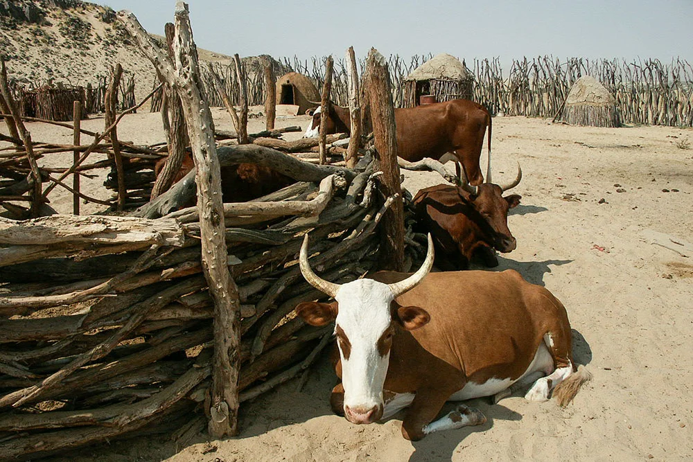 Purros, Namibie