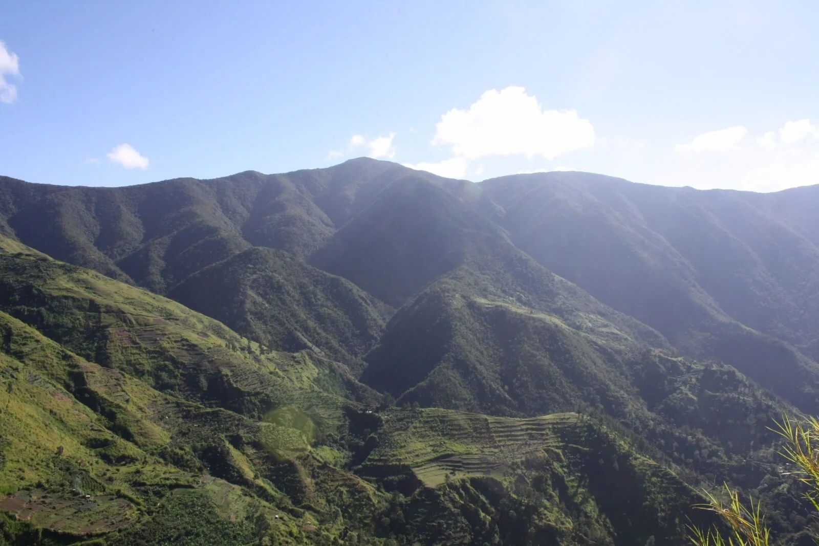 Monts John Crow, Jamaïque