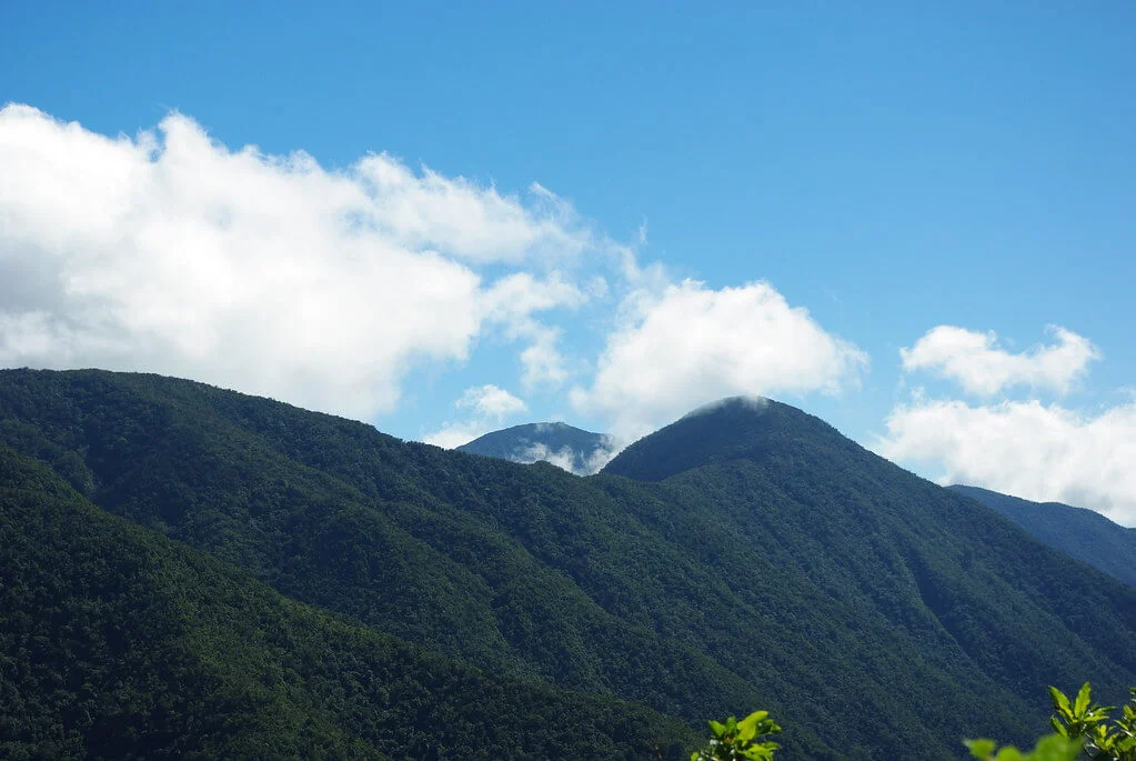 Monts John Crow, Jamaïque