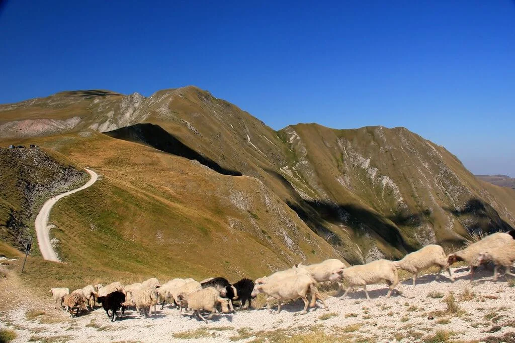 Réserve naturelle du massif du Monte Rotondo, France