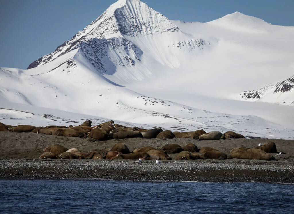 Parc national de Forlandet, Svalbard et Jan Mayen