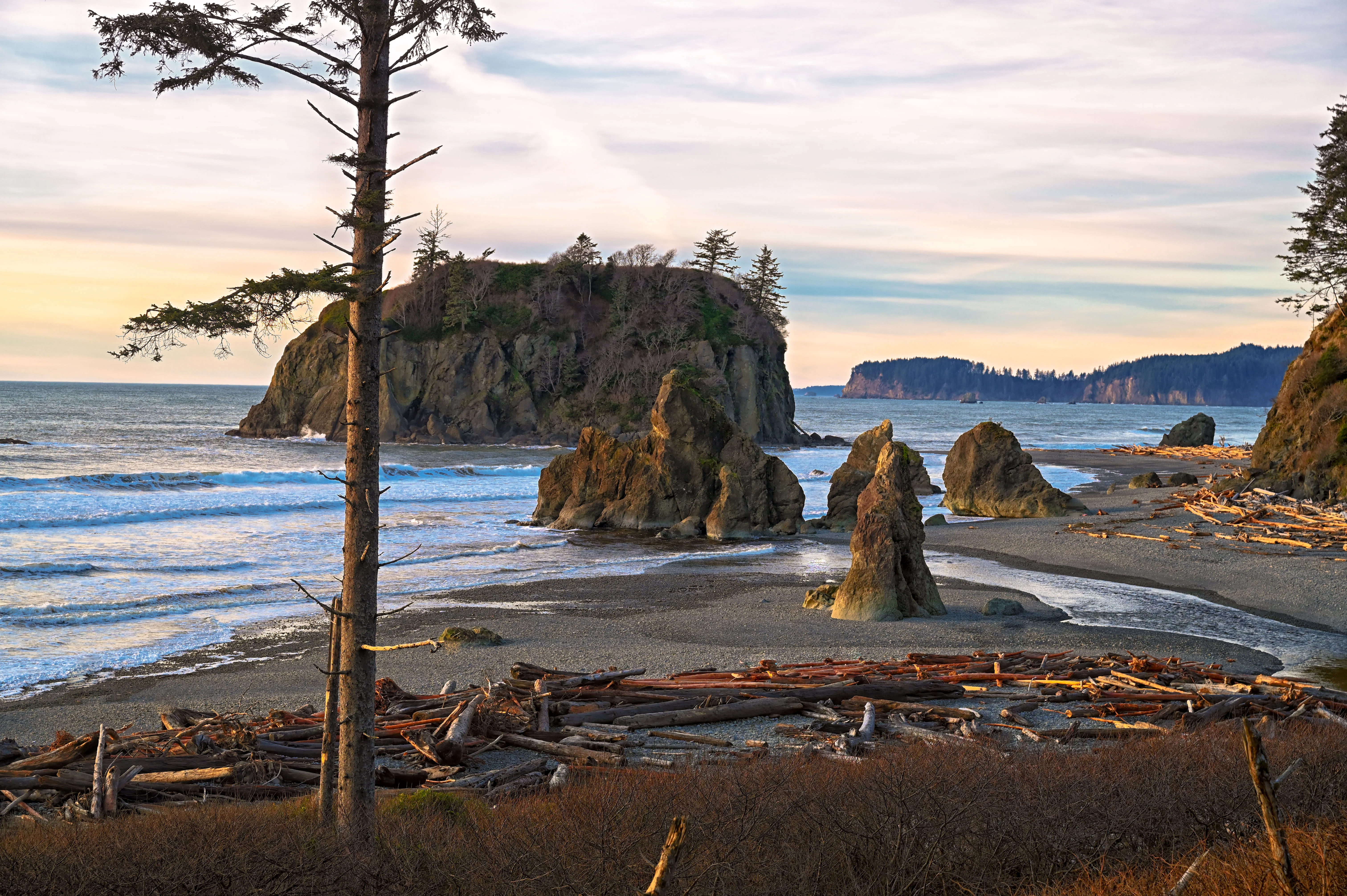 Ruby Beach, États-Unis