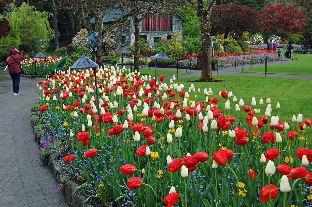 Jardins Butchart, Canada