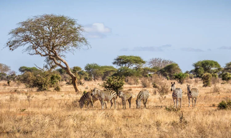 Plateau Yatta, Kenya