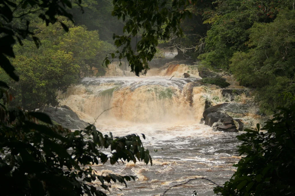 Chutes de Kongou, Gabon