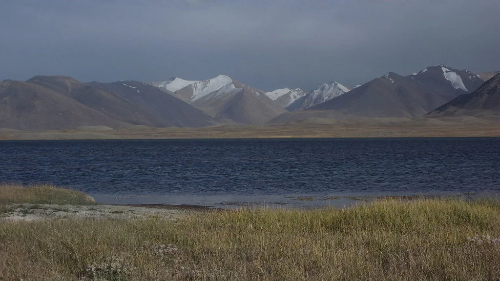 Réserve naturelle d'État de Zorkul, Tadjikistan