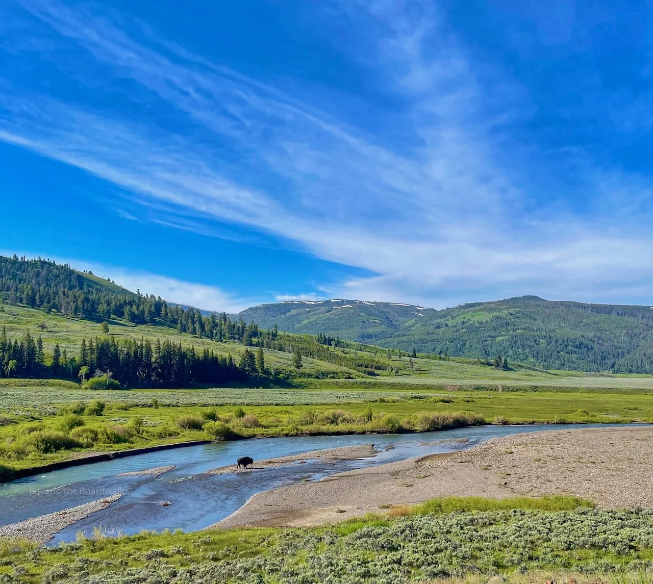 Lamar River, États-Unis