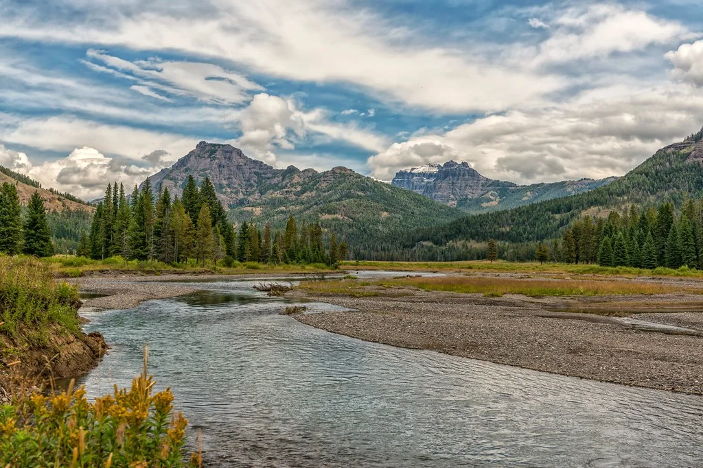 Lamar River, États-Unis