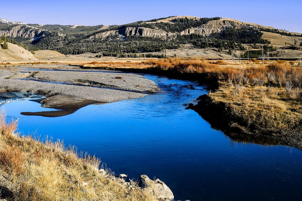 Lamar River, États-Unis