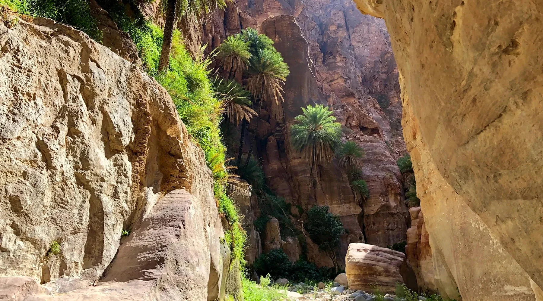 Wadi Ghuweir, Jordanie