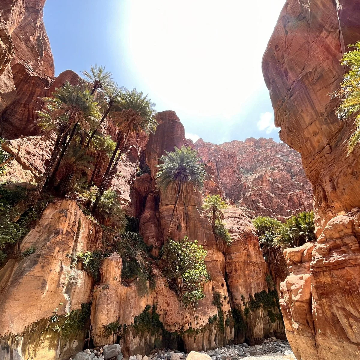 Wadi Ghuweir, Jordanie
