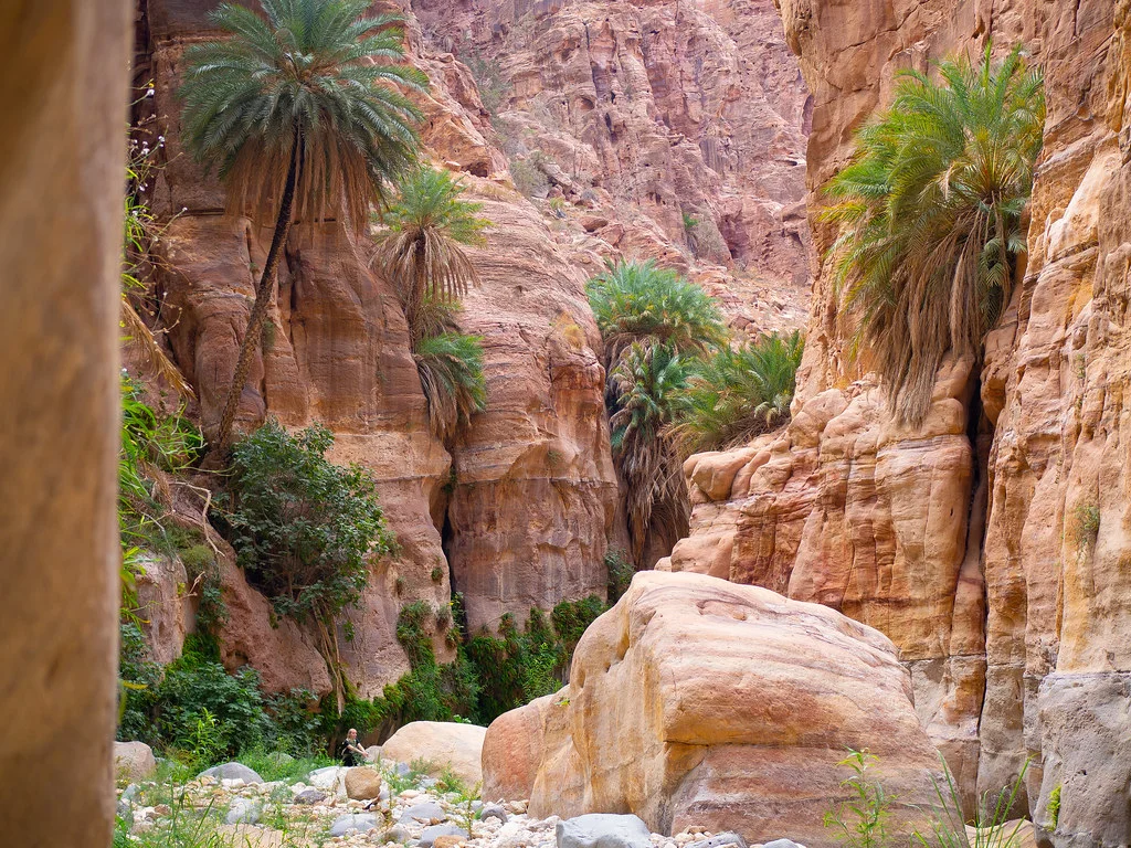 Wadi Ghuweir, Jordanie