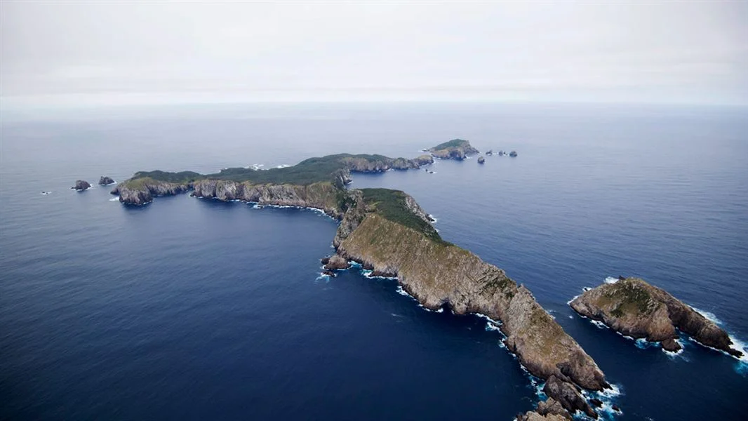 Îles Snares, Nouvelle-Zélande