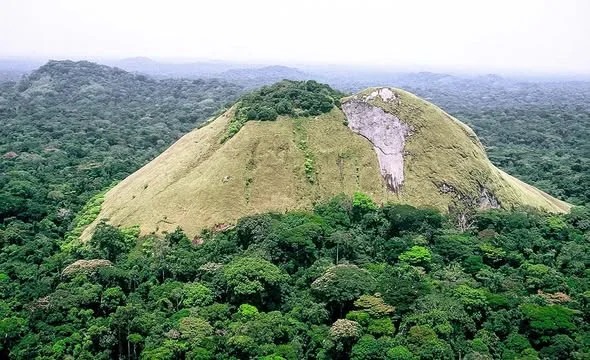 Parc national de Minkébé, Gabon