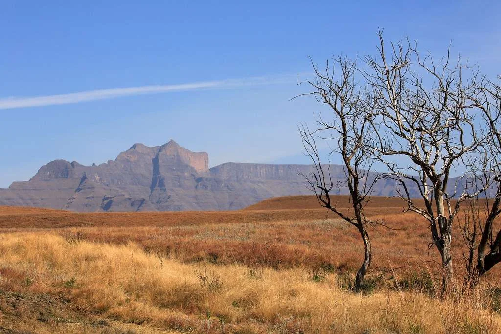 Highmoor Nature Reserve, Afrique du Sud