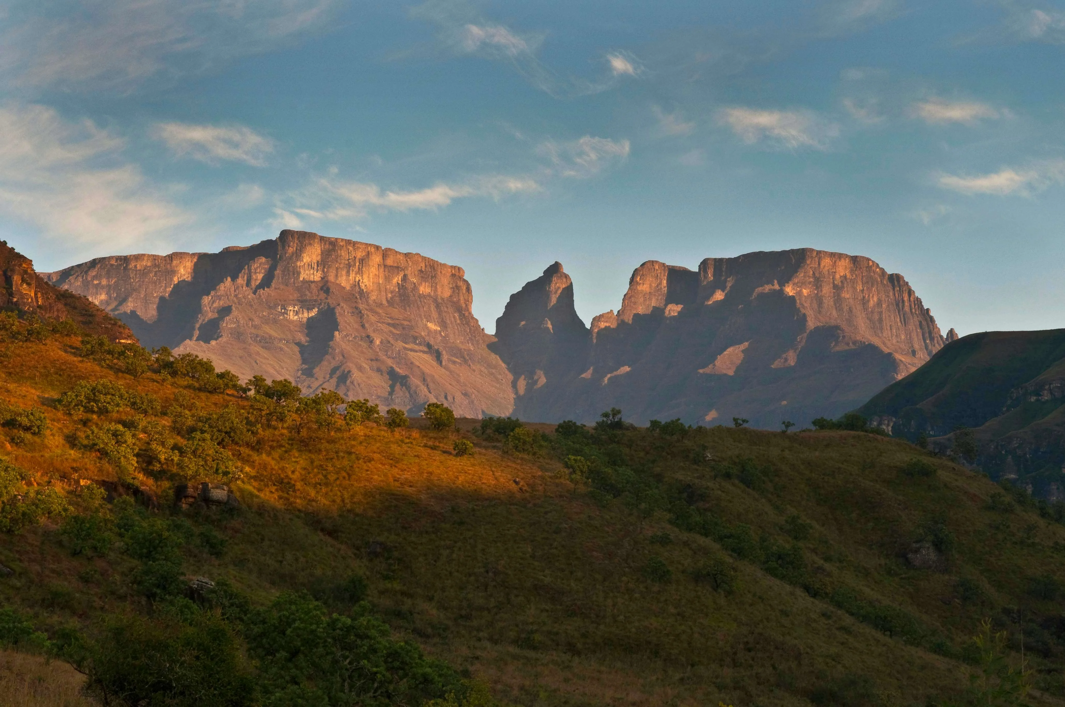 Highmoor Nature Reserve, Afrique du Sud
