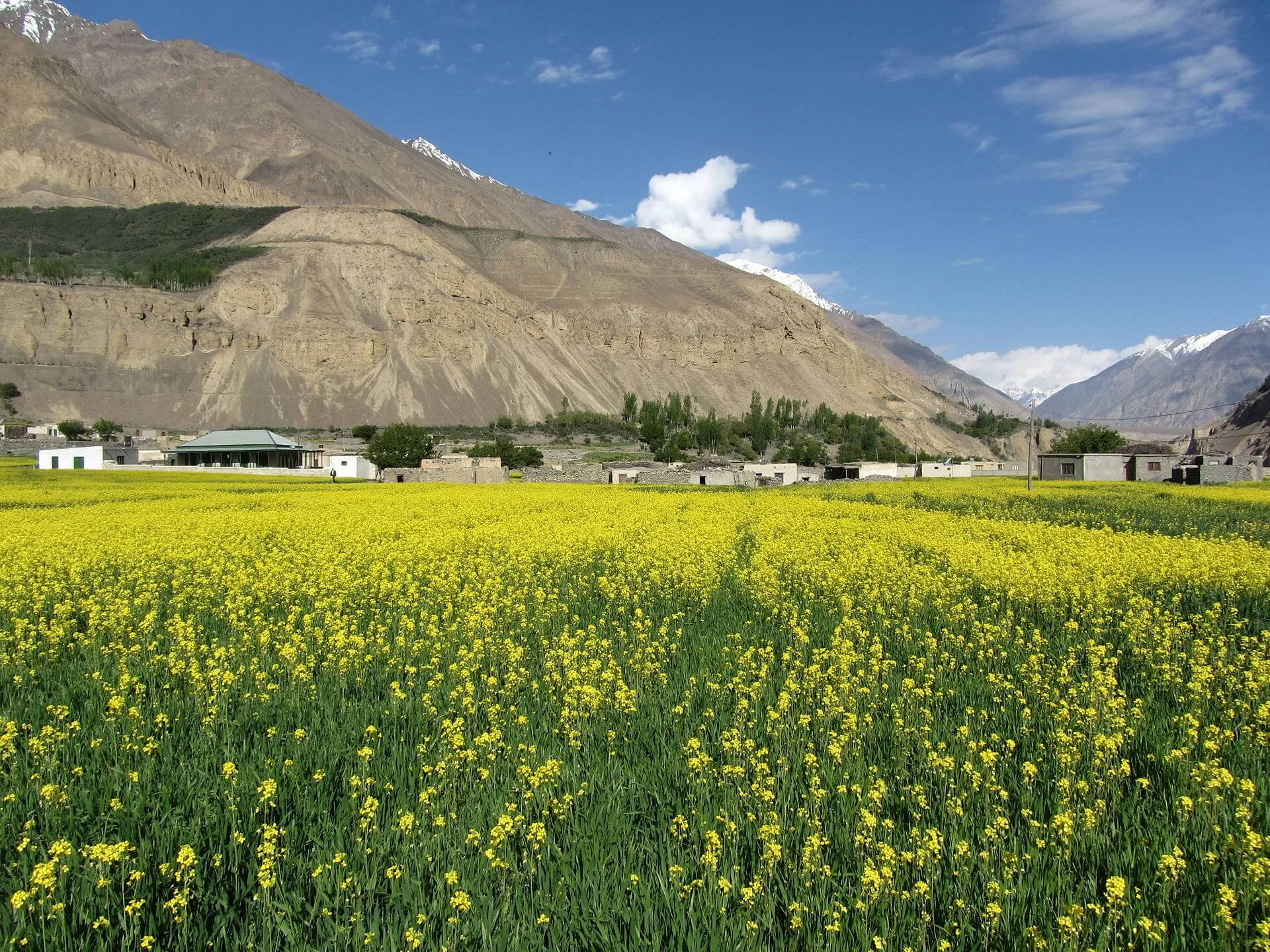 Shimshal, Pakistan
