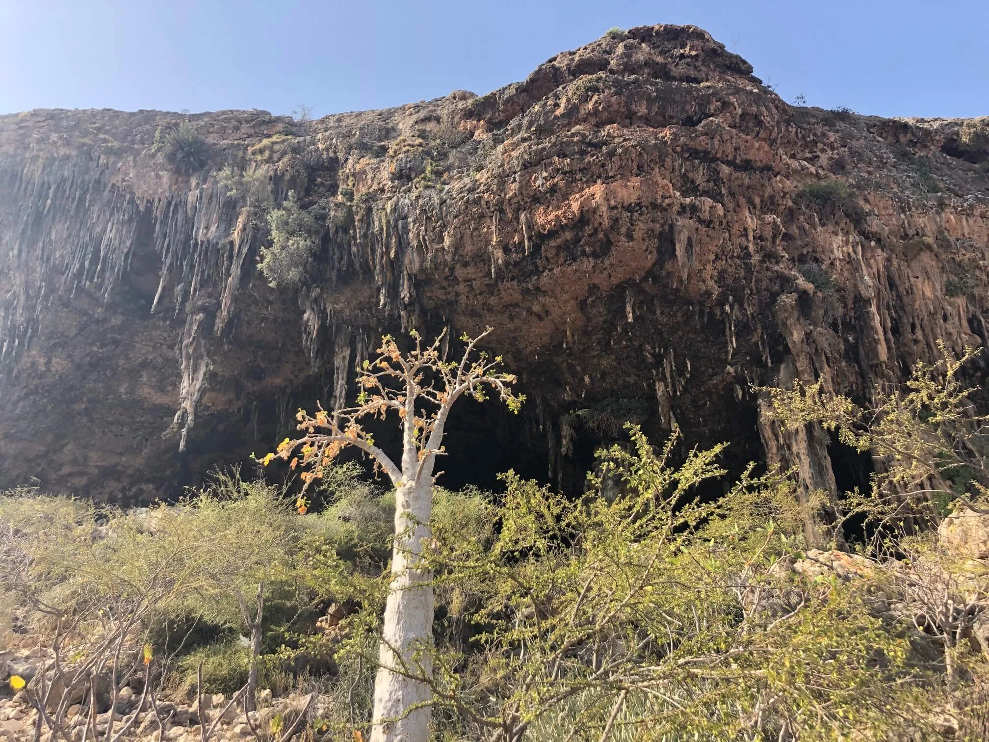 Dogub Cave, Yémen, Socotra