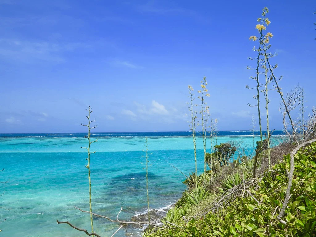Baradal, Saint-Vincent et les Grenadines